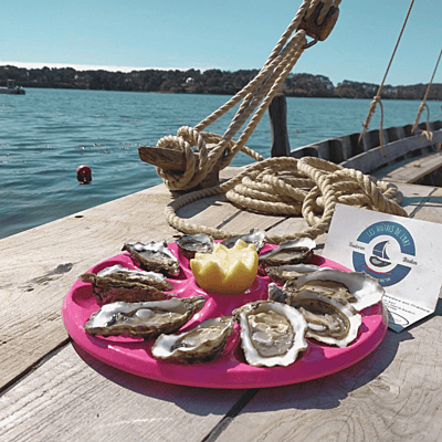 Balade Au fil de l’eau avec la Ster Avel en rivière d’Auray et du Bono