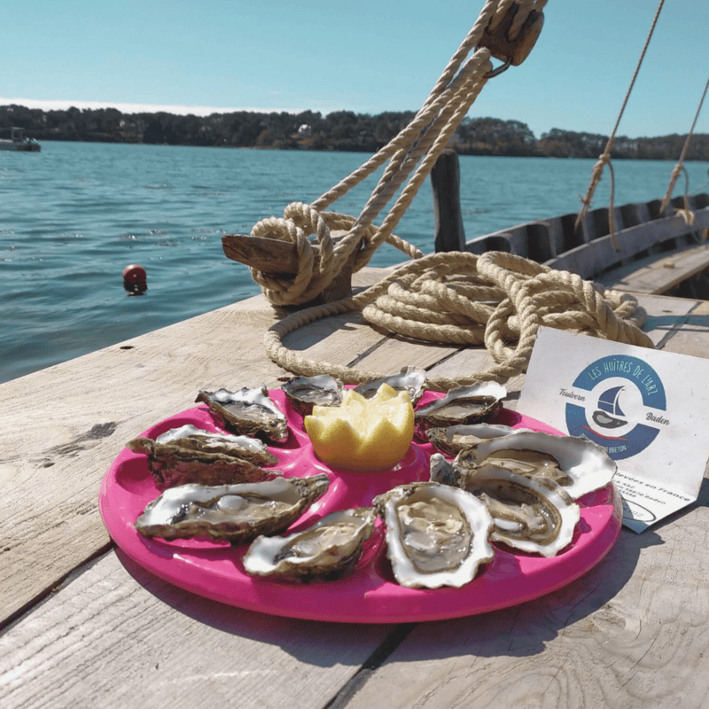 Balade Au fil de l’eau avec la Ster Avel en rivière d’Auray et du Bono